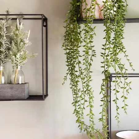 Golfe De Saint Tropez شقة جاسّا