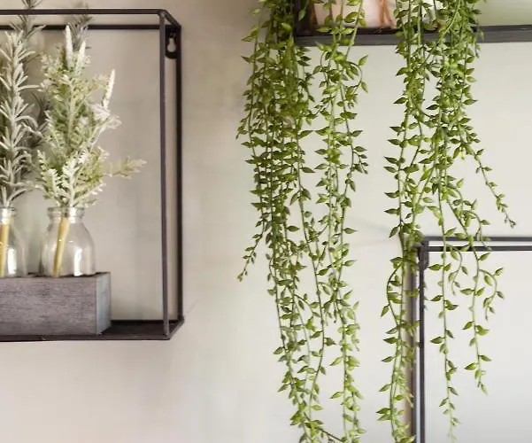 Golfe De Saint Tropez Apartamento Gassin